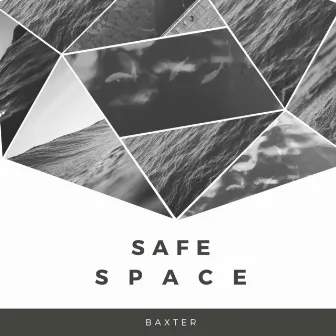 Safe Space by Baxter