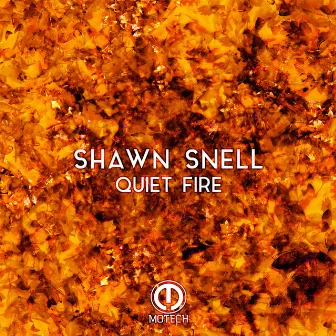 Quiet Fire by Shawn Snell