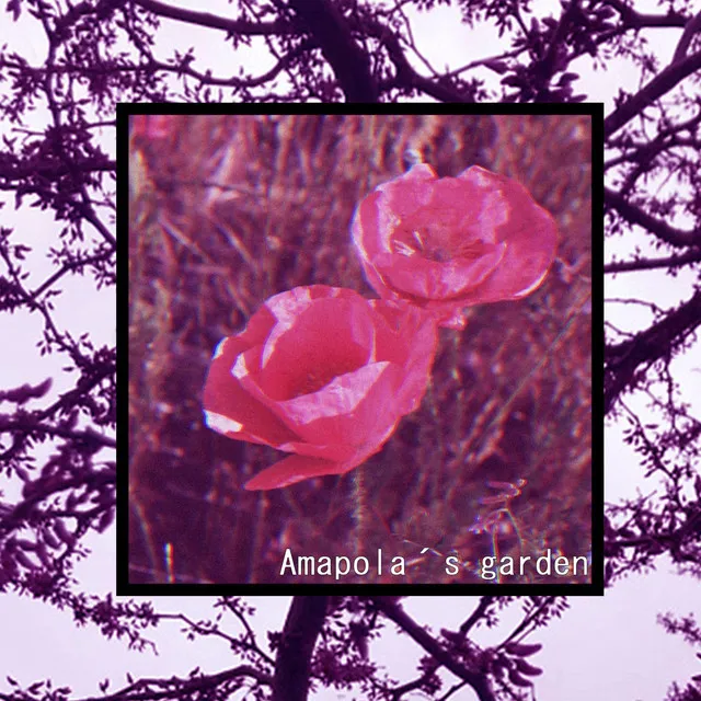 Amapola´s Garden