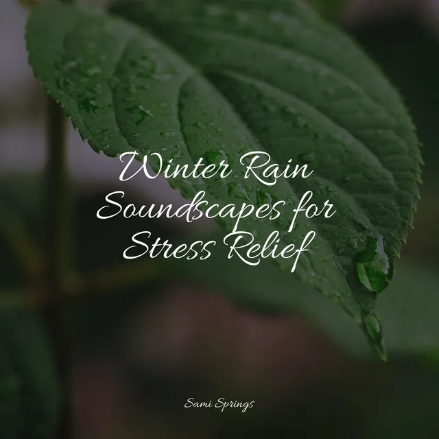 Winter Rain Soundscapes for Stress Relief