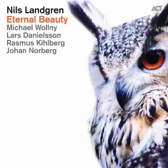 Eternal Beauty by Nils Landgren