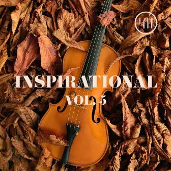 Inspirational Vol 5 by 411 Music Group