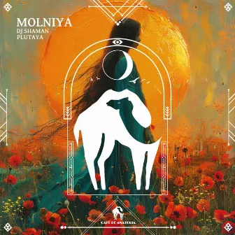 Molniya by Dj Shaman