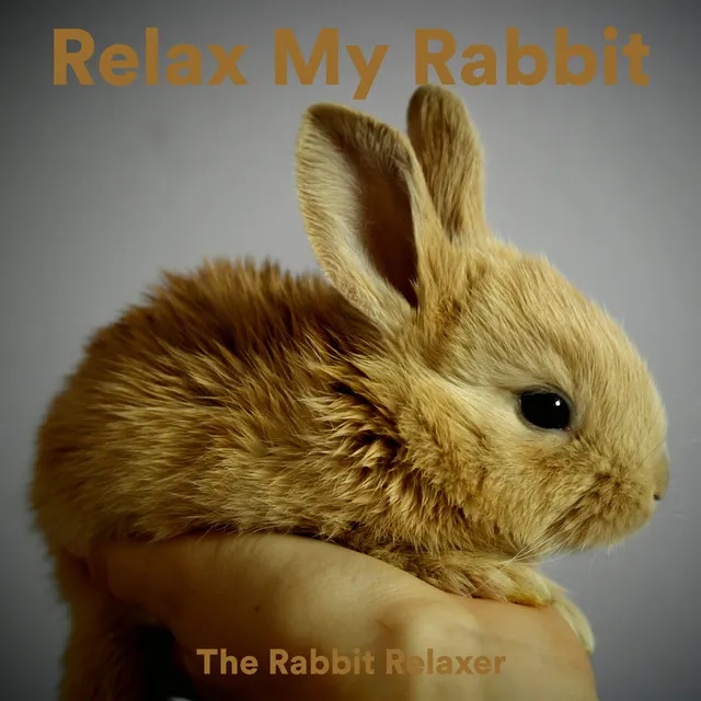 The Rabbit Relaxer