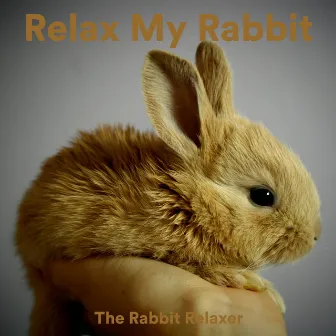 Relax My Rabbit by The Rabbit Relaxer