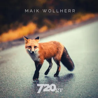 720gr by maik wollherr