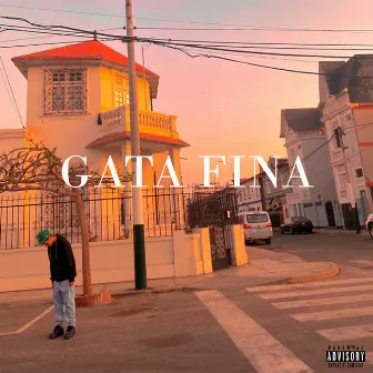 Gata Fina by Slake