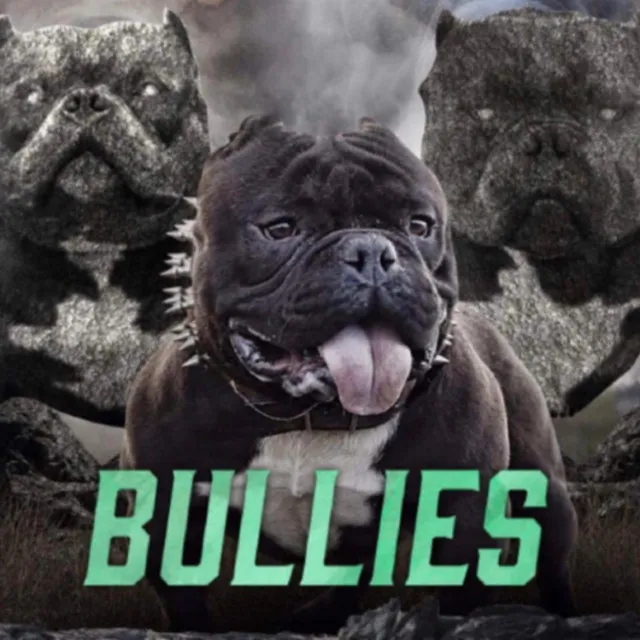 Bullies