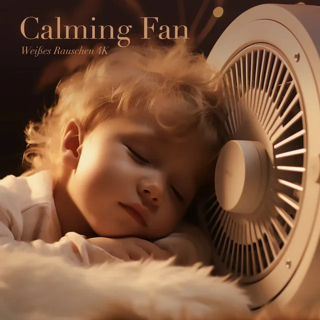 Calming Fan (White Noise to Help You Relax and Let Go)