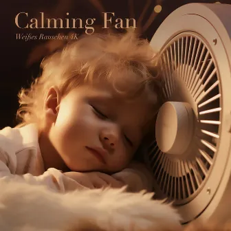 Calming Fan (White Noise to Help You Relax and Let Go) by Weißes Rauschen 4K