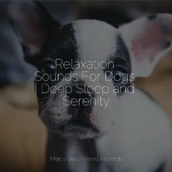 Relaxation Sounds For Dogs | Deep Sleep and Serenity by Official Pet Care Collection