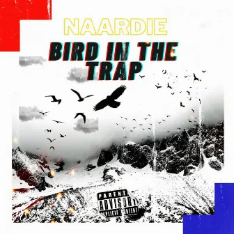 Bird In The Trap (Freestyle) by Naardie