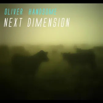 Next Dimension by Oliver Handsome