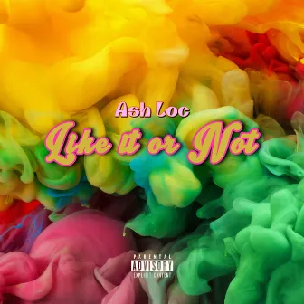 Like It or Not by Ash Loc