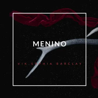 Menino by Sophia Barclay