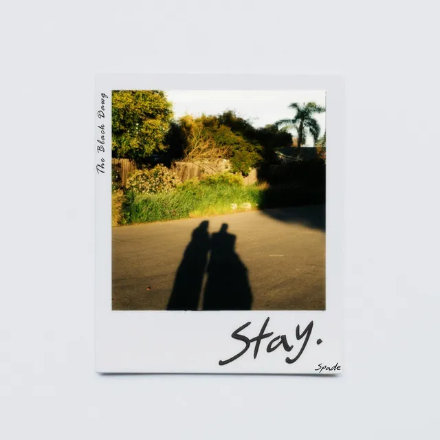 Stay