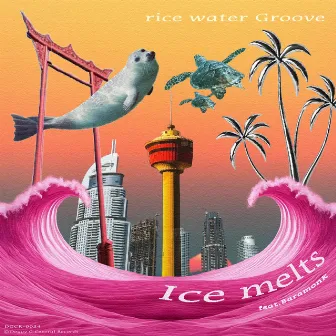 Ice melts by rice water Groove