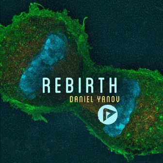 Rebirth by Daniel Yanov