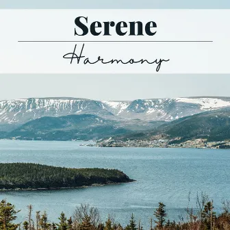 Serene Harmony: Mindful Melodies for Anxiety Relief & Inner Peace by Atmospheric Music Maestro