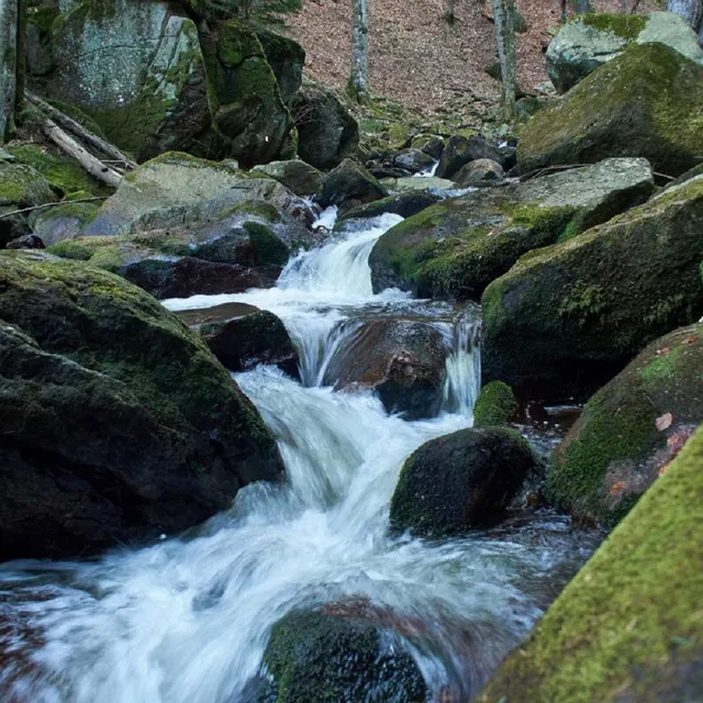 The Spirit of Lobnica (mountain stream for soothing babies and meditation)