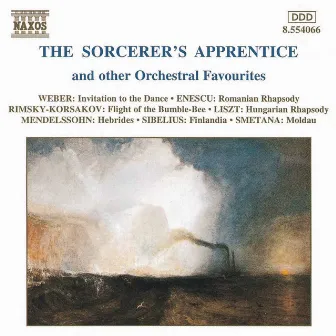 Sorcerer's Apprentice And Other Orchestral Favourites by Kenneth Schermerhorn