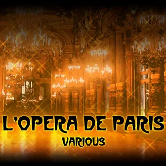 L'Opera De Paris by Ernest Reyer