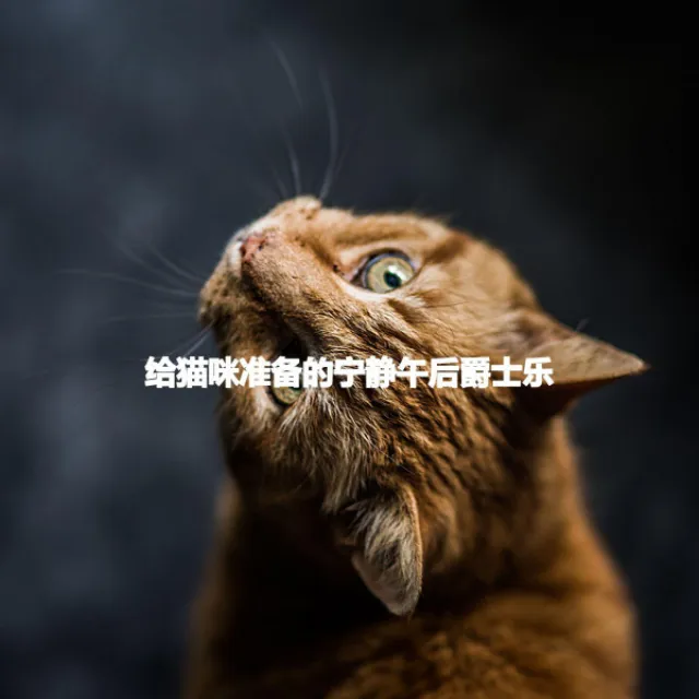 给猫咪准备的宁静午后爵士乐