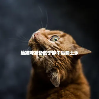 给猫咪准备的宁静午后爵士乐 by Bebop Jazz