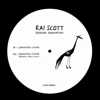 Detached Observation by Rai Scott