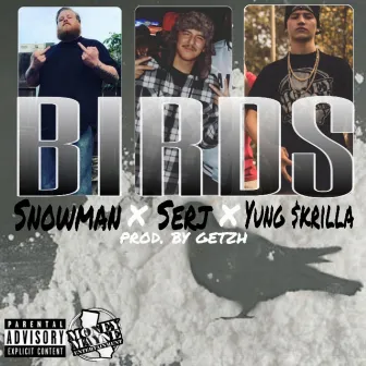 Birds by Snowman