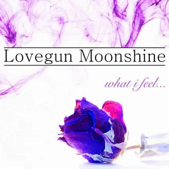 What I feel by Lovegun