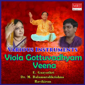 Viola Gottuvadhyam Veena (Instrumental) by Ravikiran