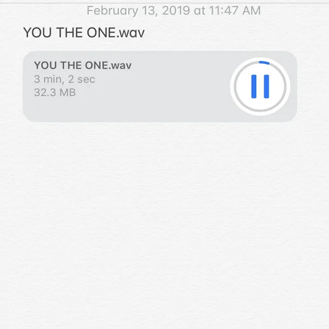 You The One.wav