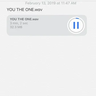 You The One.wav by Talib