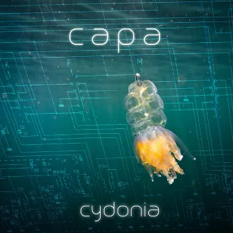 Cydonia by Capa