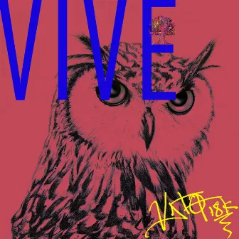 Vive by Vato 18k