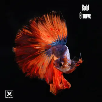 Groove by Bold