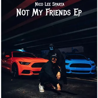 Not My Friends by Nico Lee Sparta