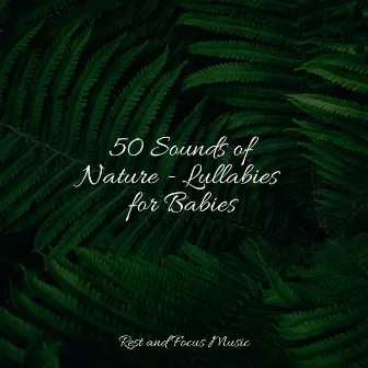 50 Sounds of Nature - Lullabies for Babies by White Noise Baby Sleep