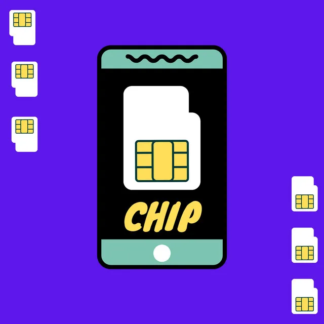 Chip