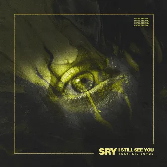 I Still See You by Sry