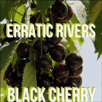 Erratic Rivers by Black Cherry