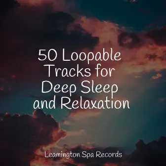 50 Loopable Tracks for Deep Sleep and Relaxation by Shakuhachi Sakano