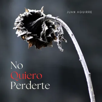 No Quiero Perderte by Juan Aguirre