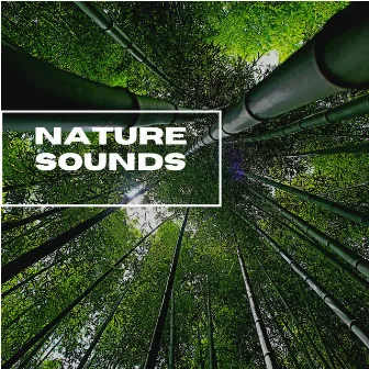 Nature Sounds by Natural Sound Selections