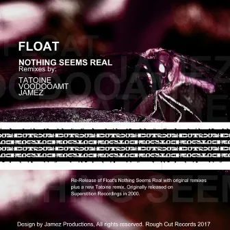 Nothing Seems Real by Float