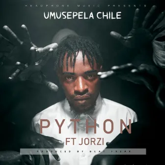 Python by Umusepela Chile