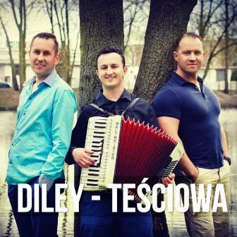 Teściowa (Original Mix) by Diley