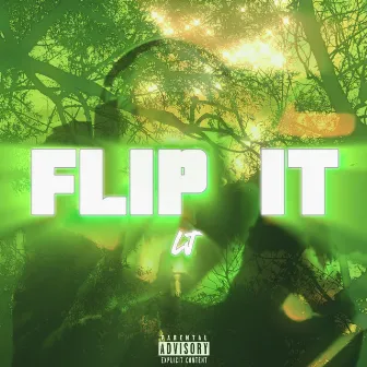 Flip It by Lewis LJ King