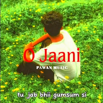 O Jaani by Pawan Bisht